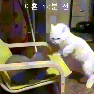 1b28022a6e8263b48249535a43090d1b_1617102649_0003.gif