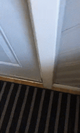 e13432252cdb1164917d0ea7454bbc61_1615648192_7542.gif