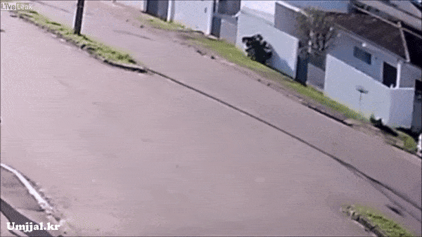 fb1a4ad2c7d13ad95e8600e072c61986_1616562978_9741.gif