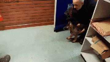 8495c761a6507ba335878d0313ae37c8_1617899410_0969.gif