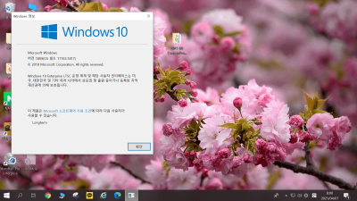 [03월] Win10 RS5(17763.1817) LTSC 64비트 Remiz 사용기