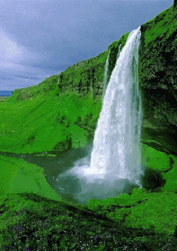 7f4bc5841edf3d3824cd323ac6710f42_1621945478_7948.gif