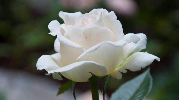 0bc59f5905e535fc89ddaa13256368d0_1620379461_7868.jpg