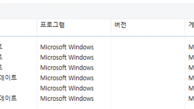 긴급 [05월] Win10 RS5(17763.1935) LTSC 64비트 Remiz 후기