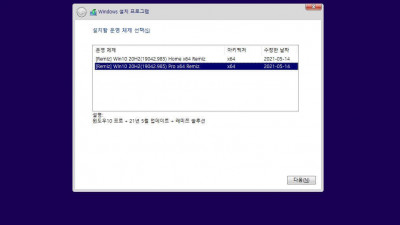 Win10_20H2(19042.985)_2in1_x64_Remiz_21.05.14_VMWare Workstation 16 Player,  Update 버전 이용한 설치본 이용 후기