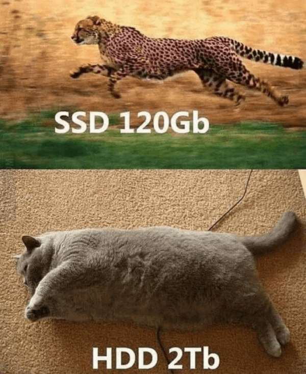 a89e391d98493a85347e5cbb91807b39_1621455670_9634.png