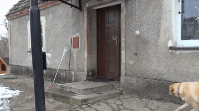 1f0a4678e64fc8f0973aa213e4275ee7_1625009665_419.gif
