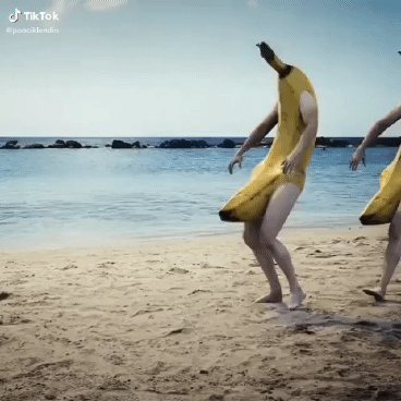 5d3f9921cbe9e2613b69ceaf82b48754_1622566148_9699.gif