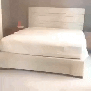 8631dde5315e546ddd8cebbd0a490cf3_1622921924_9803.gif