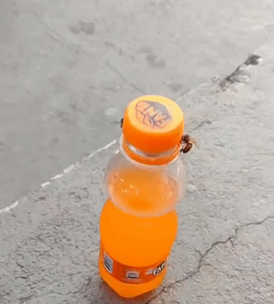 912e6a1576cade7316472ae4d99c63ab_1624424069_7892.gif