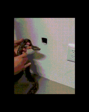 a7ec65ef7533fc25bb955997814c0177_1624762595_8454.gif