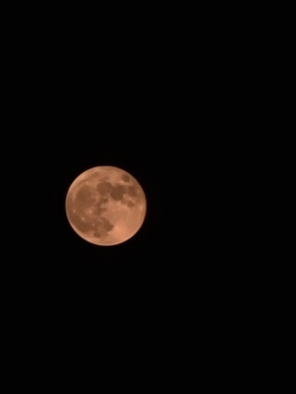 05e9d9bb359b1c761edde5eb2e4e4657_1624626186_8781.jpg