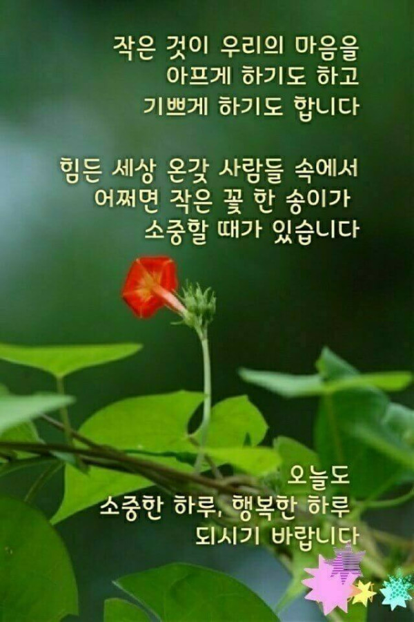 fe22bbeea13b848ce2d3f59ddcc93cab_1623111609_6832.jpg