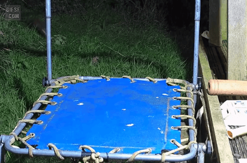 4038491ede1dbbe32f365e7311eca15d_1627034427_0399.gif