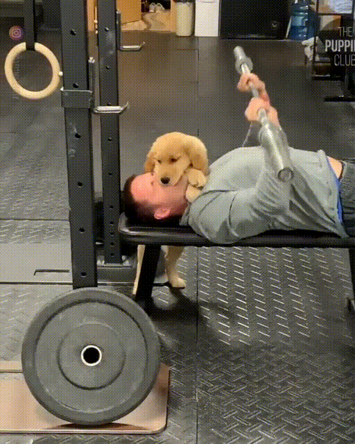 5315671994b1fb2236301cb9e4cbca01_1625946067_1227.gif