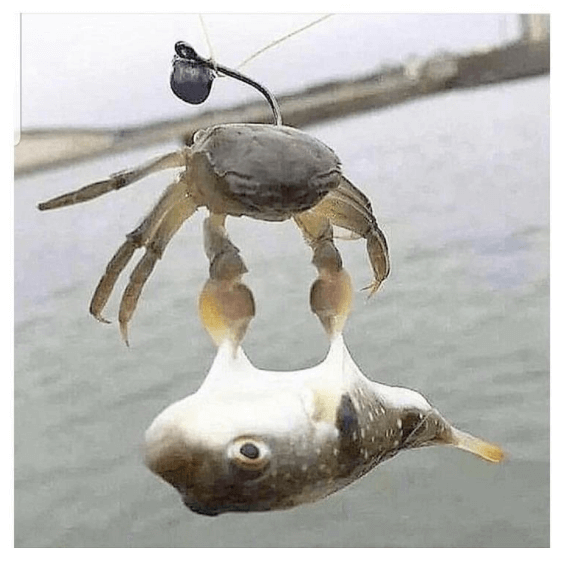 5e528b9a4071e3ef8bd12c92a7e21a4e_1625521795_4202.png