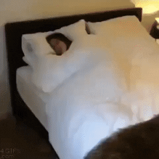 65fb2763ca574ff4c04a2d1ec2c01303_1627610602_2393.gif