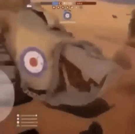 6844ba8291036ab48bba6b694ae67f71_1626108978_4682.gif