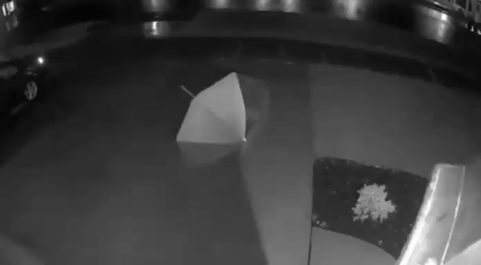 7e8e3890ac3cc24e32b765685199cd97_1627006342_2283.gif