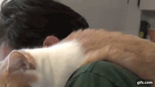 8bb83bdd9b5c20b1556ef398e05bd85b_1626004546_3597.gif