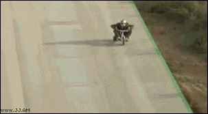 94f4345a4ee85f566edb5524ceb90399_1625926056_3411.gif