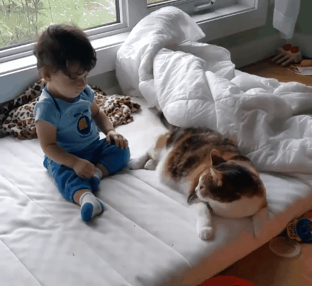 98f06db276c3cfc9fbae6e6424ffe500_1627590574_27.gif