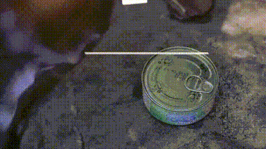bbe0c94a178bae462d5937eefa0f9347_1625108685_0071.gif