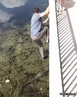 cd44aab758e4ae51edb015edaf7a2d86_1626569458_4592.gif