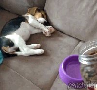 e4be2918c9d02f2f32e60c94eb170df5_1626892949_7188.gif