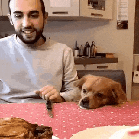 f879aee998243491d2442e28d5bd5ff0_1625741064_4445.gif