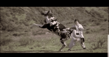 fb4d69a7d90cb8ee9c256ddbf1d9ece0_1626753490_6823.gif