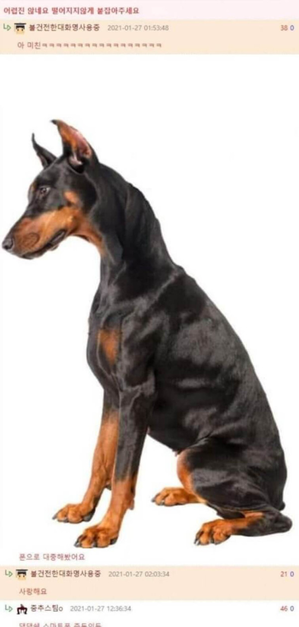 0b8b2d48c9fb931758892b27bdd799b9_1625317460_9259.jpg