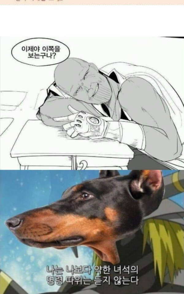 0b8b2d48c9fb931758892b27bdd799b9_1625317468_1349.jpg