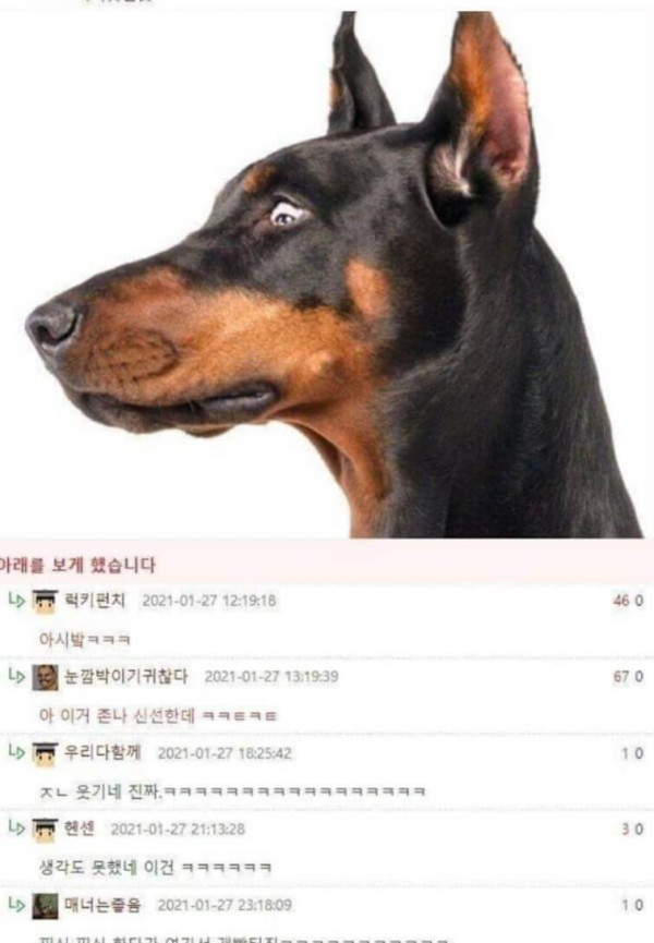 0b8b2d48c9fb931758892b27bdd799b9_1625317473_9752.jpg