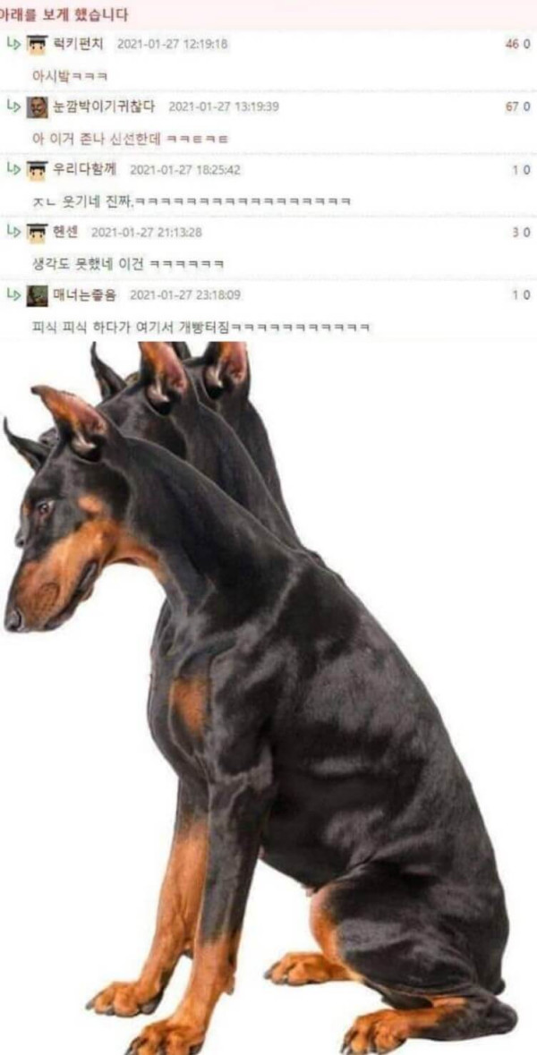 0b8b2d48c9fb931758892b27bdd799b9_1625317516_5908.jpg