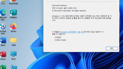 windows 11 업데이트 됬네요.(22000.100) 버전으로...