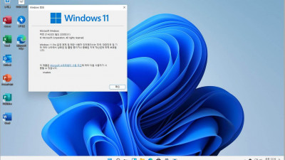 XCP-NG에 설치 : [07월] Win11 21H2(22000.51) Pro 64비트 (모든 플랫폼 용)