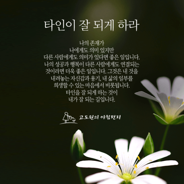 336296152f43d76fdb52a8b78bf8071d_1625077784_866.png