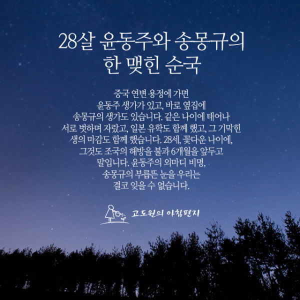 84d68093a382439d0da51a5b5a922ce3_1625680706_5491.png