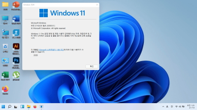 [WIN11설치후기]드디어 11설치 완료했습니다.