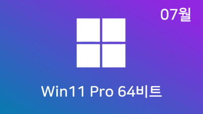 [07월] Win11 21H2(22000.51) Pro 64비트 (모든 플랫폼 용)