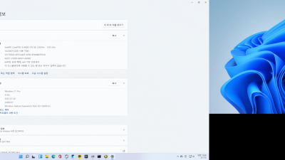 Win11 21H2(22000.51) Pro 64bit (for All platform) 탄력받아 2번째 기기