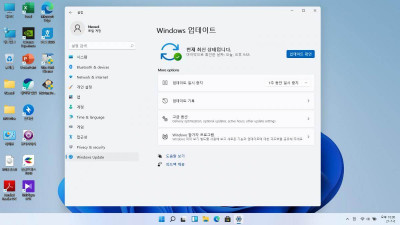 Win11, 21H1 클린설치후 드라이버 안잡힐 경우