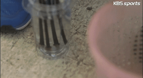 492d6b2c5cff54c344456698c70de465_1627792674_5665.gif
