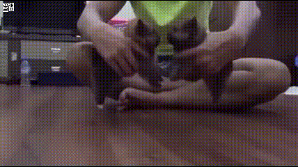 7f1b3ade74be5a08531613b5510bb47f_1628527270_8716.gif