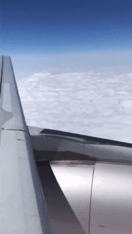 b26f9f6eb2c0b48afe1df7ad973b7cfa_1628040483_8591.gif