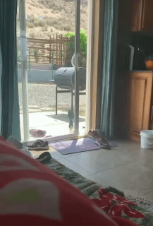 c90f1220e008be2bf4fd03b8cf986fd5_1628423105_8783.gif