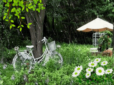 cd674ce21b2c66f11feac03e91bf0849_1630015757_4985.gif