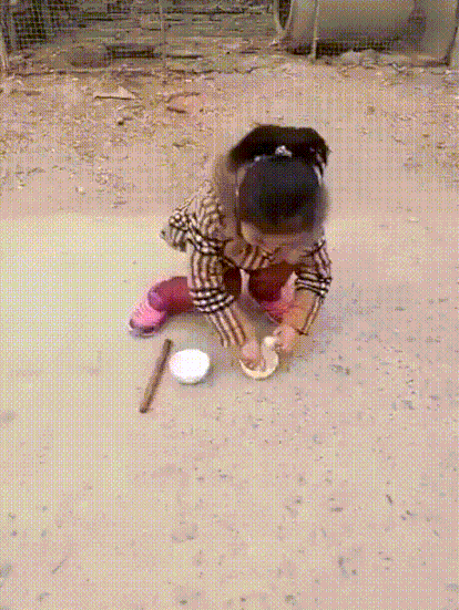 f66a419d546783e86f4c3d735b18c99e_1627873780_6965.gif