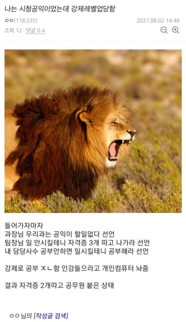 96a427029fb254be16fc3b5a41b11f3a_1628044775_4849.jpg